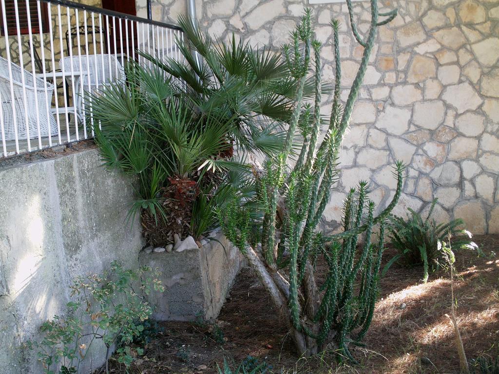 Apartments Elena & Damir Βις Εξωτερικό φωτογραφία