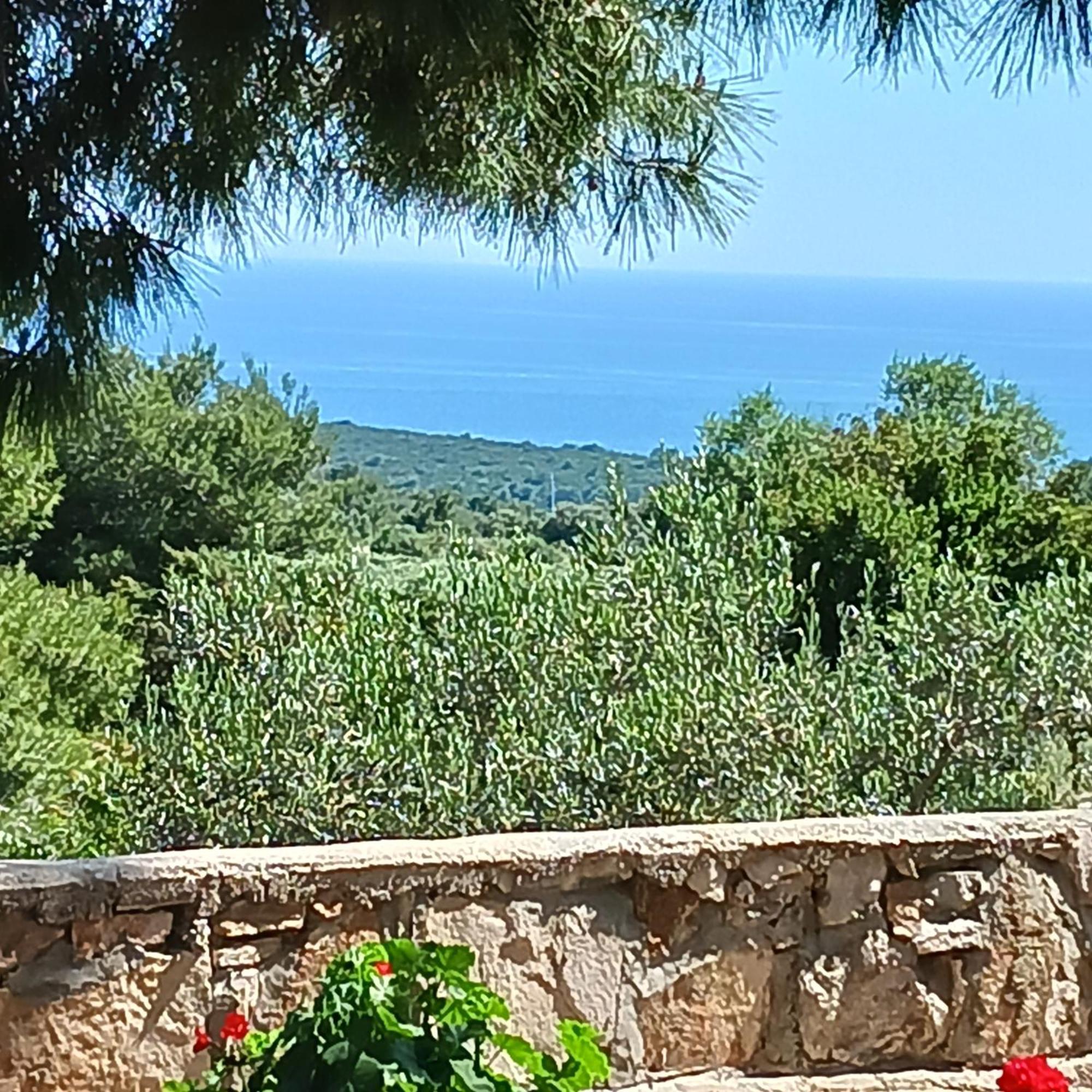Apartments Elena & Damir Βις Εξωτερικό φωτογραφία