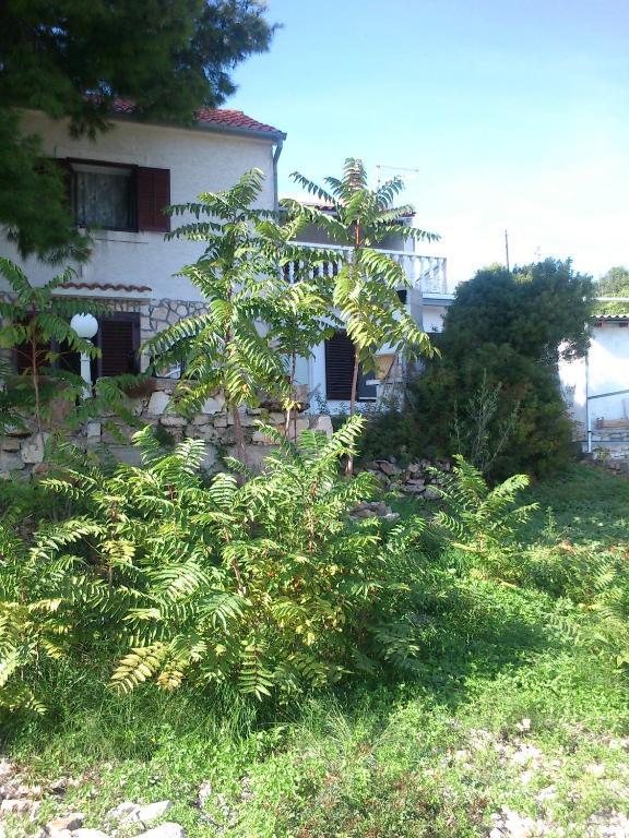 Apartments Elena & Damir Βις Δωμάτιο φωτογραφία